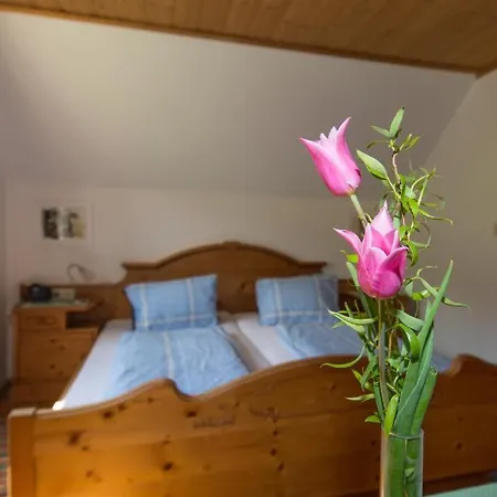 Huettstaedterhof Familie Poetsch Villa Aigen im Ennstal Room photo