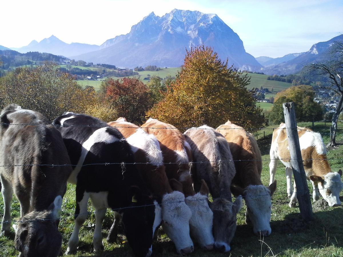 Huettstaedterhof Familie Poetsch *