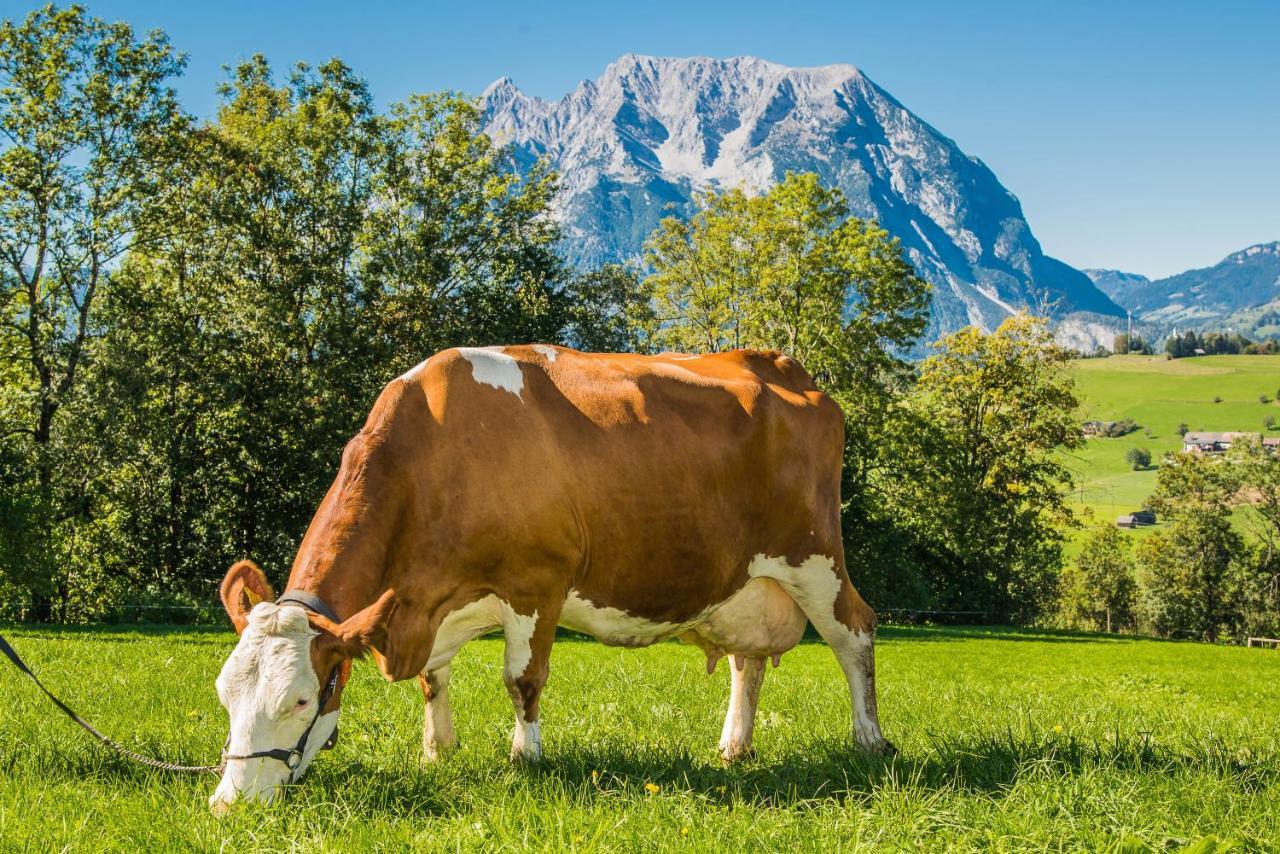 Séjour à la ferme Huettstaedterhof Familie Poetsch
