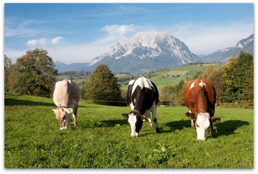 Séjour à la ferme Huettstaedterhof Familie Poetsch Aigen im Ennstal